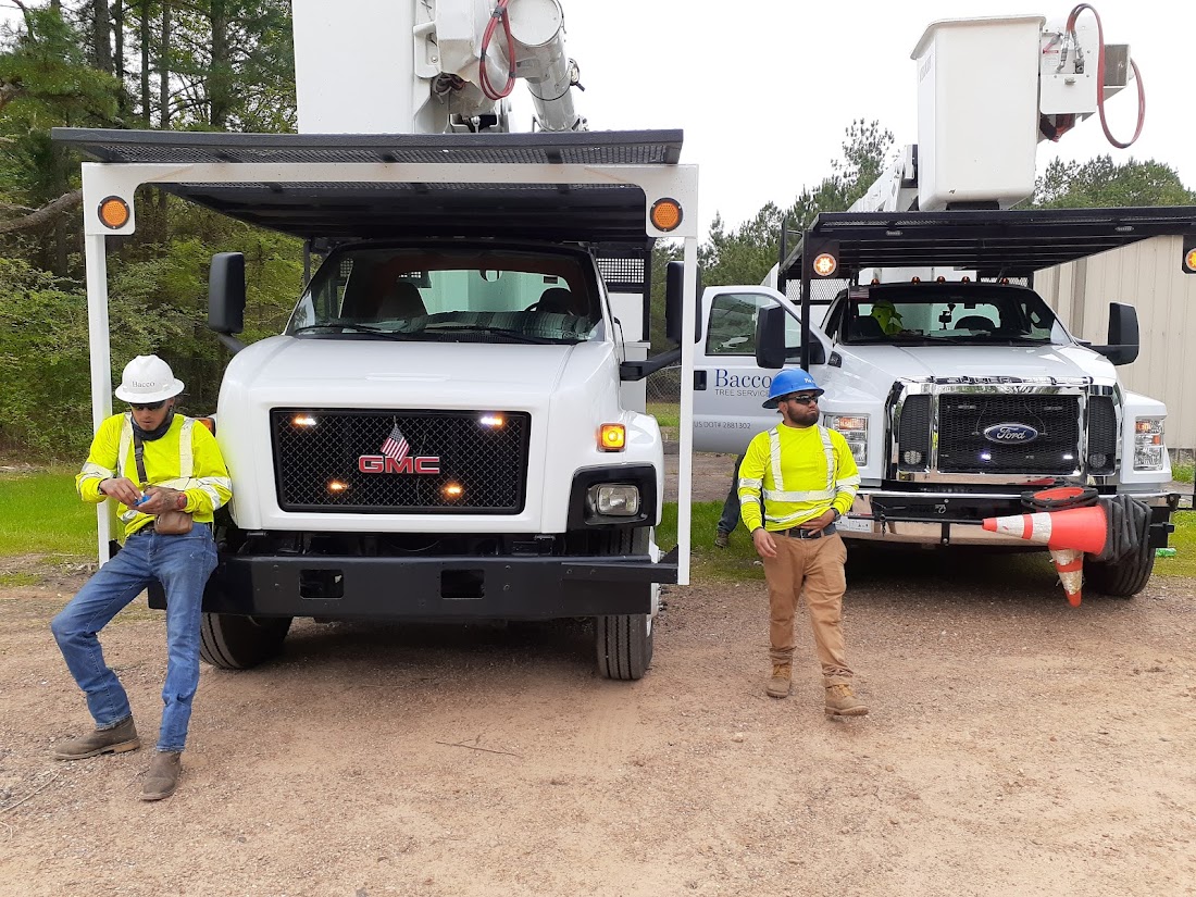 Baccos Tree Service crew at work in Owasso, OK