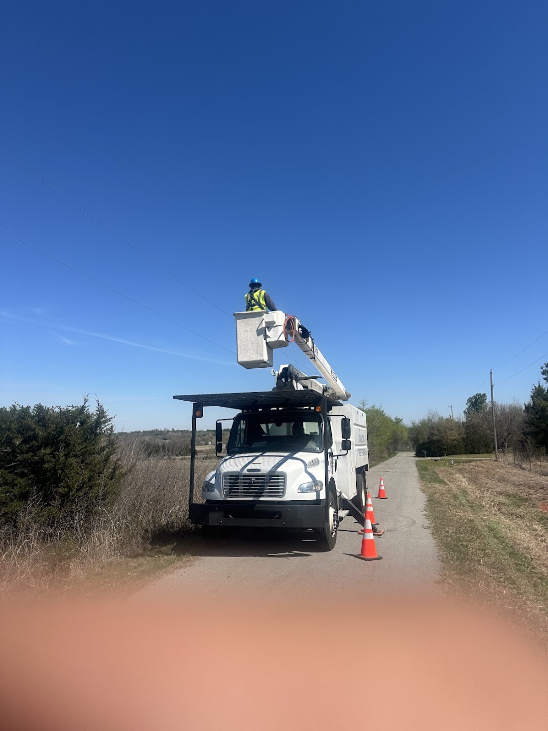 Tree work in progress